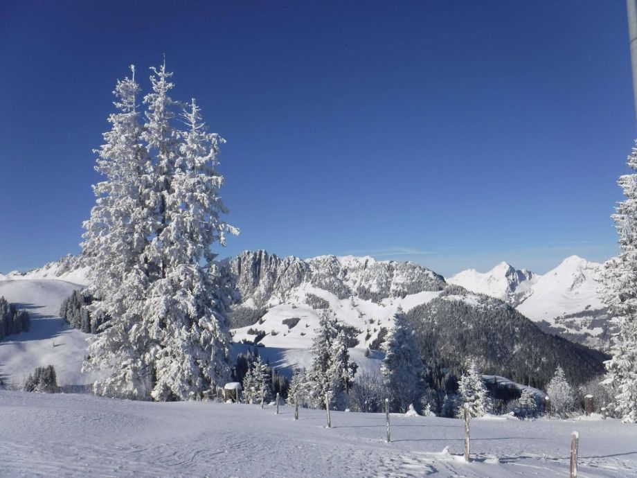 Langlauf Impressionen
