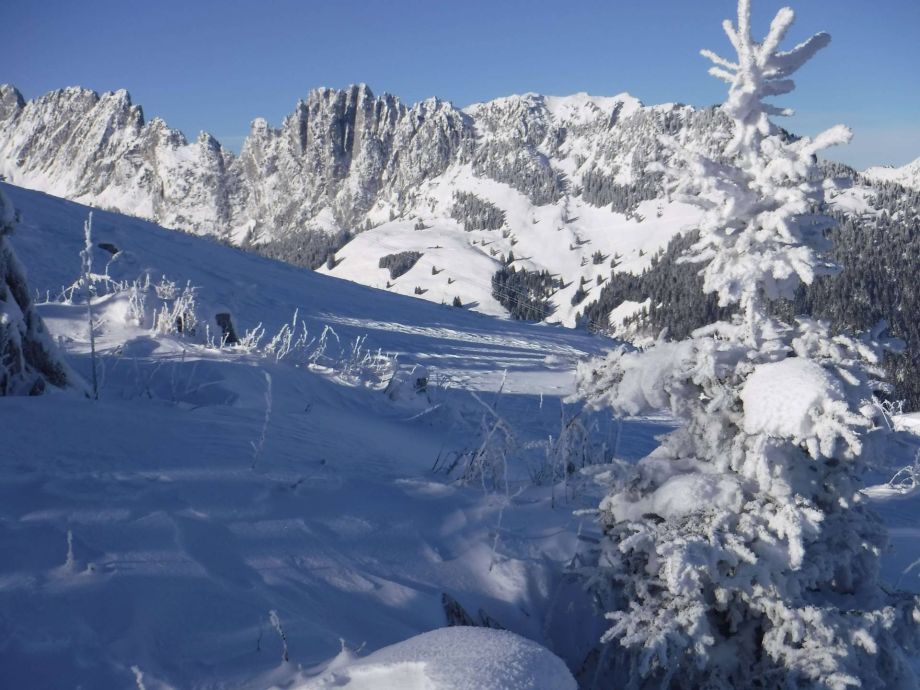 Langlauf Impressionen