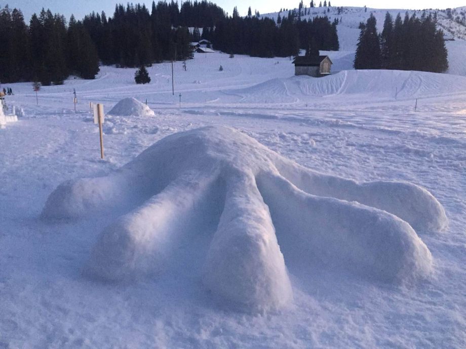 Langlauf Impressionen