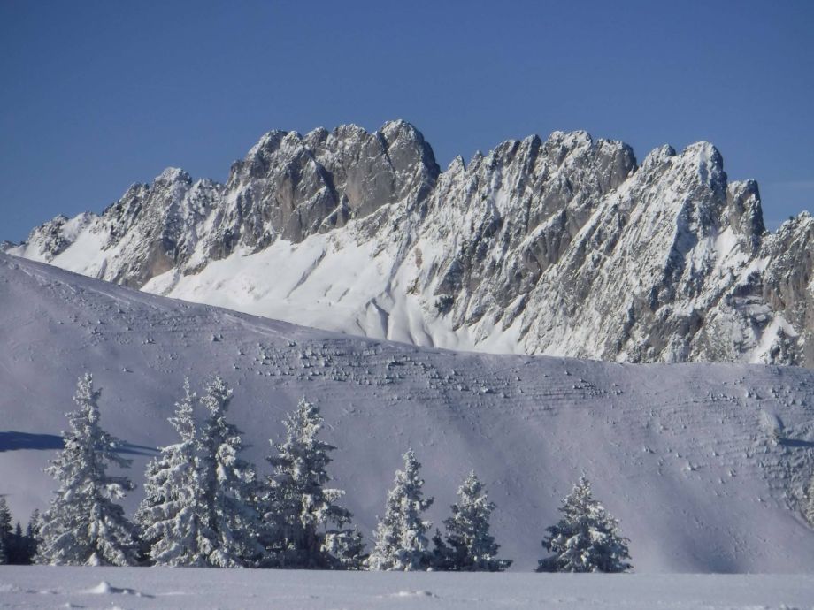 Langlauf Impressionen